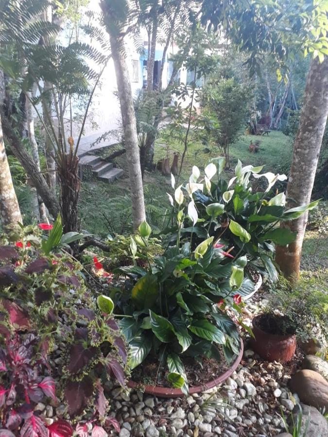 Chacara Da Promessa De Deus Villa Icatuacu Eksteriør bilde